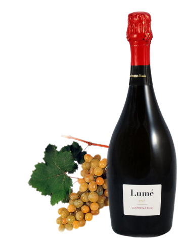 LUME BRUT 75 cl. 11,5%Vol.